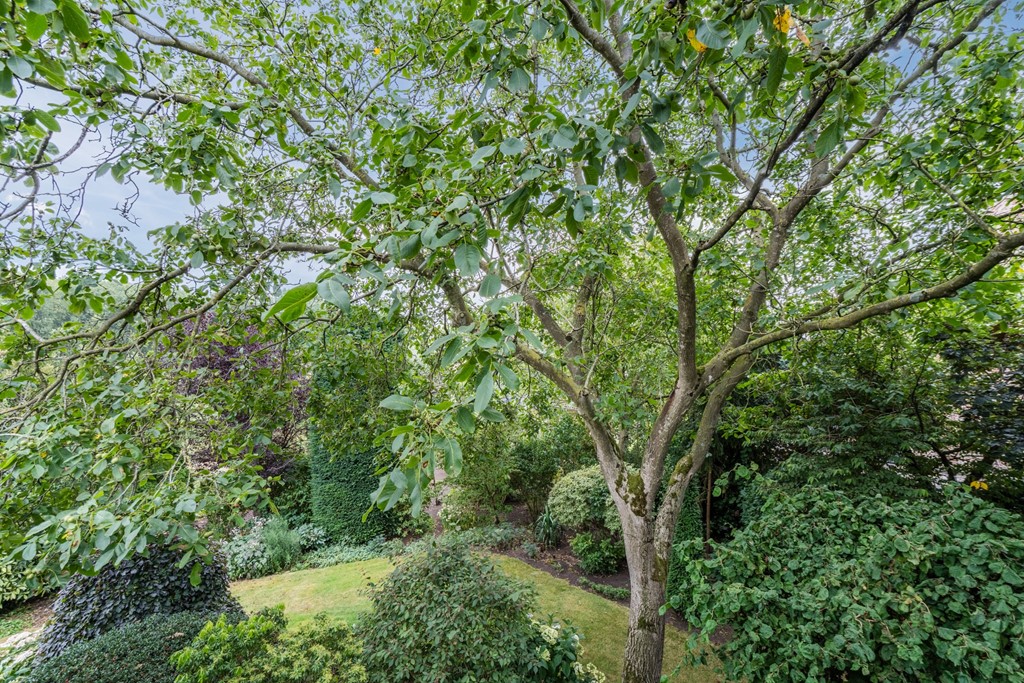 20250828, Noordeinde 91, Waddinxveen, Oudijk Makelaardij (73 of 114).jpg